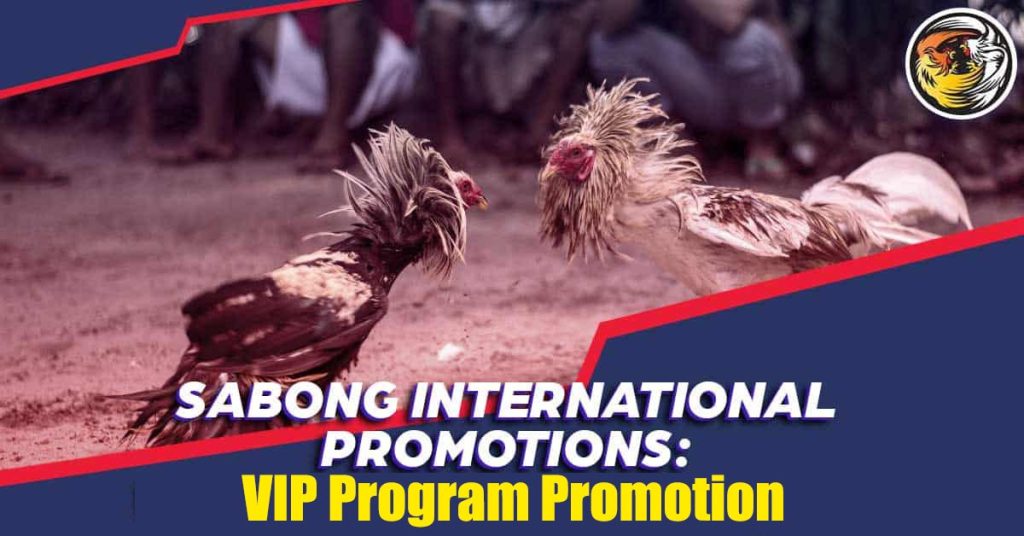 VIP Program Promotion